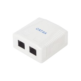 Wall box with 2 ports, includes 2 UTP Cat6A Jack jacks with 2-port Cat6a box for wall Wall Female RJ45