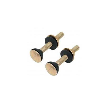 Tornillos para sanitario WC Tornillos para fijar el tanque del WC a la base