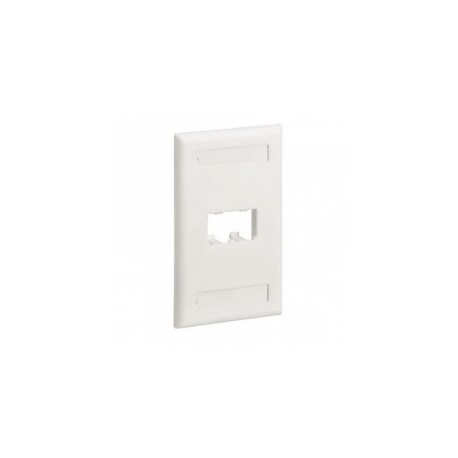 Placa de Pared Vertical Clásica, Salida Para 2 Puertos Mini-Com, Con Espacios Para Etiquetas, Color Blanco Mate