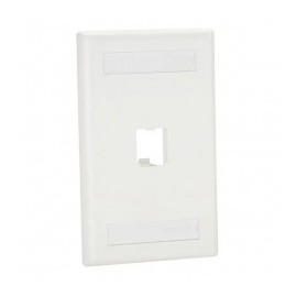 Placa de Pared Vertical Clásica, Salida Para 1 Puerto Mini-Com, Con Espacios Para Etiquetas, Color Blanco Mate