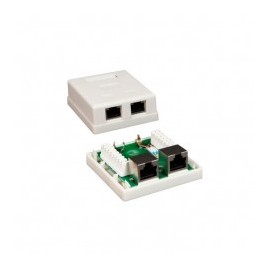 Roseta de Pared 2 puertos RJ45 Cat5e Para Pared Jack con Placa de 2 puertos para Muro Blanca Cat5e