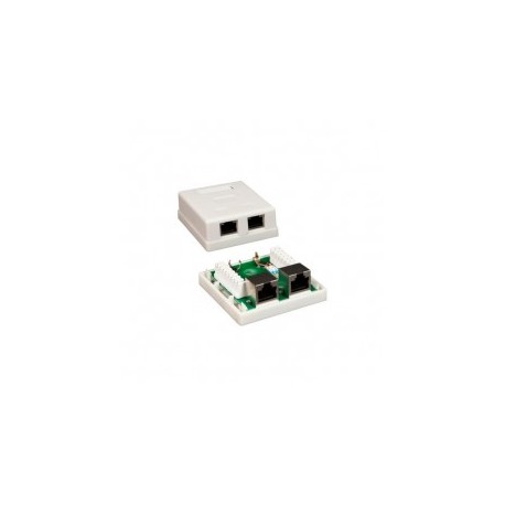Roseta de Pared 2 puertos RJ45 Cat5e Para Pared Jack con Placa de 2 puertos para Muro Blanca Cat5e