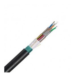1 Meter 12-wire Fiber Optic Cable, OSP (Outside Plant), Armored, 250um, Singlemode OS2