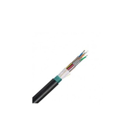 1 Meter 12-wire Fiber Optic Cable, OSP (Outside Plant), Armored, 250um, Singlemode OS2