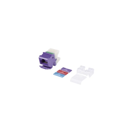 Jack MAX UTP Categoría 6, Estilo 110, Montaje Angulado, Color Violeta Jack Morado Conector RJ45 Violeta