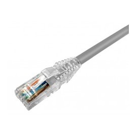 Patch Cord 5ft Gris AMP NETCONNECT Cordón de parcheo RJ45-RJ45 UTP Cat6 5ft Gris 1.5 Metros Categoría 6